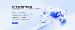 B2B外贸出口跨境电商系统
